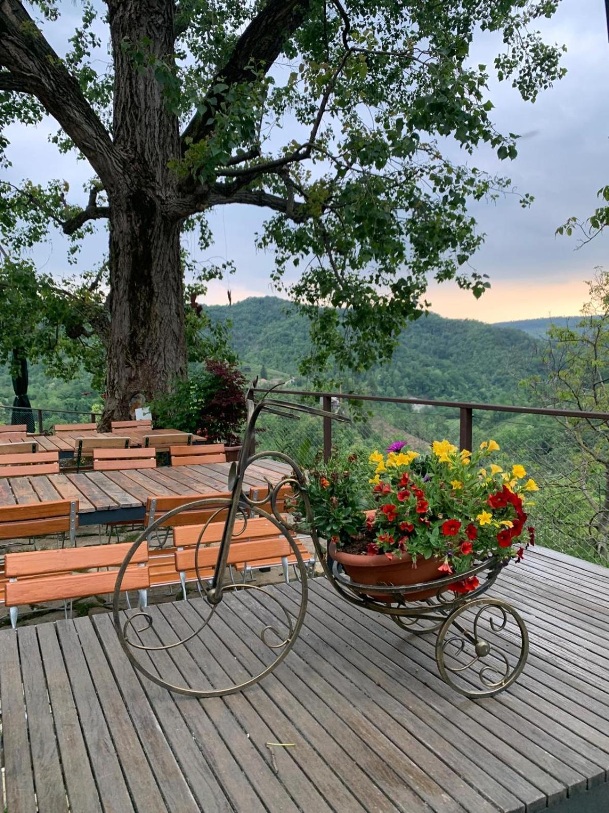 Agriturismo Le Noci Tarzo Exterior foto